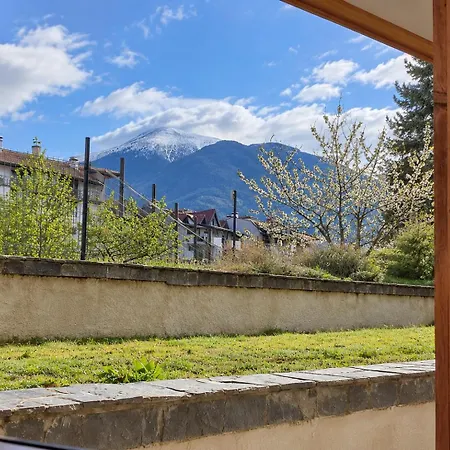 Apartment Belvedere 2-bedroom With Terrace